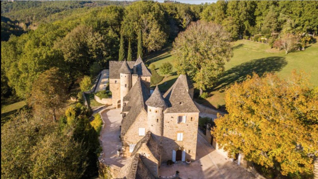 Chateau La Carriere Saint-Cyprien  Buitenkant foto